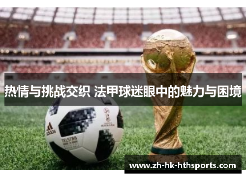 热情与挑战交织 法甲球迷眼中的魅力与困境